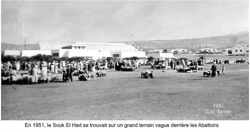 Souk El Had — ~1960