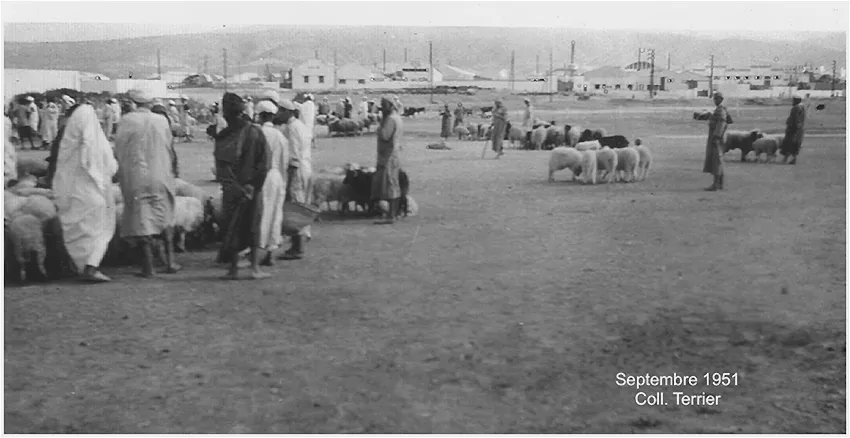 Souk El Had — ~1960s